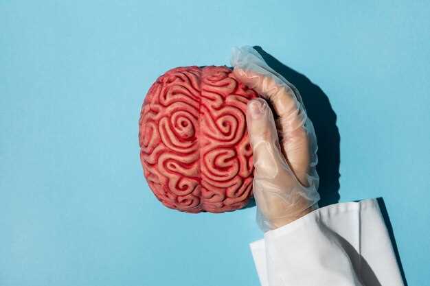 Мозг при болезни альцгеймера: как все происходит